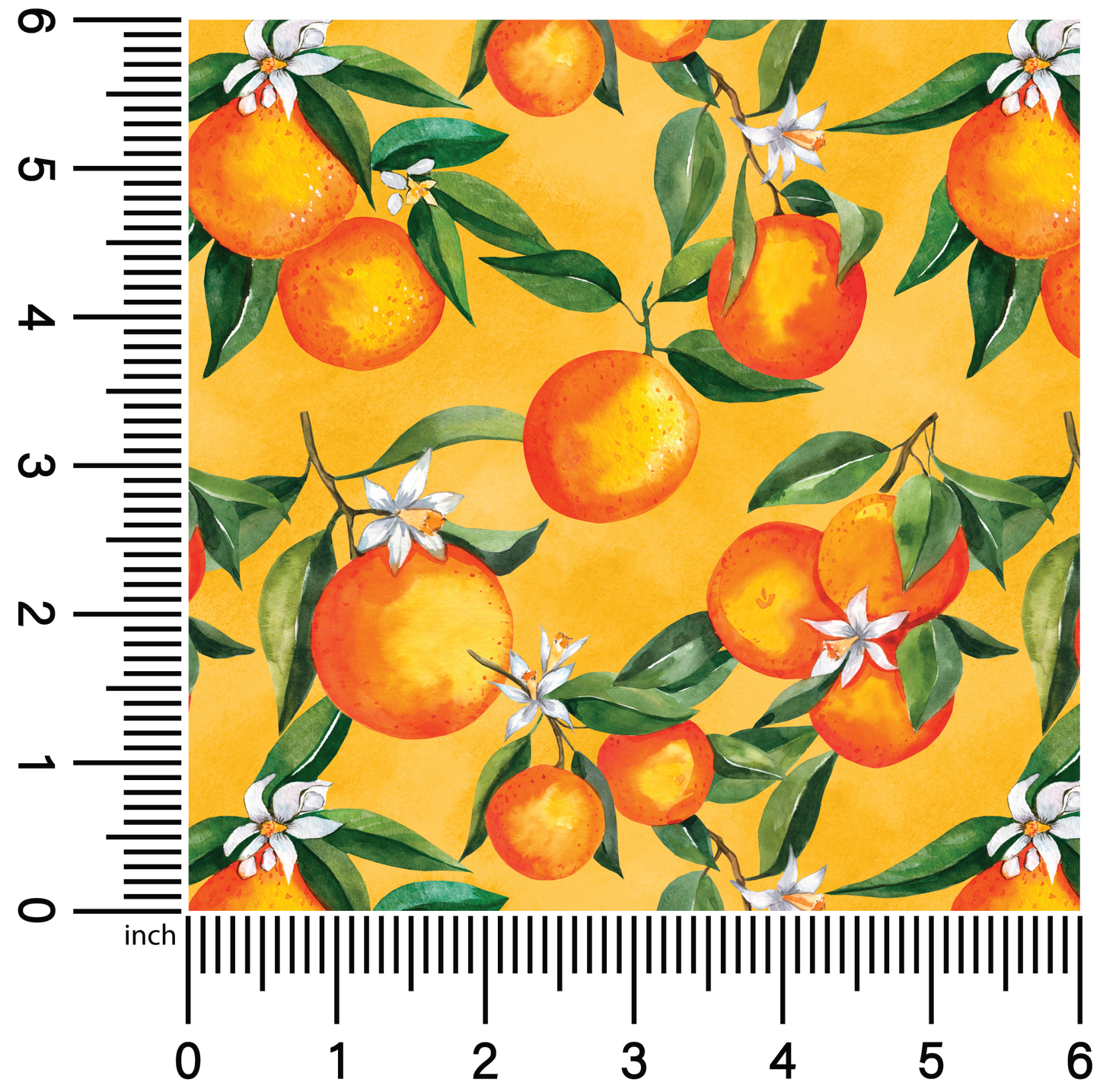 Oranges | 18" Vinyl Roll